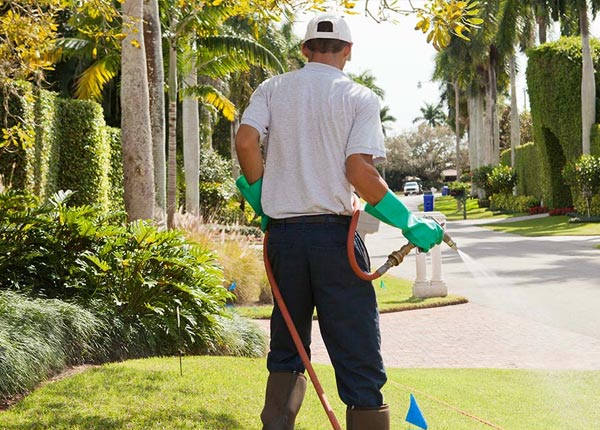 About University Center MI Pest Control